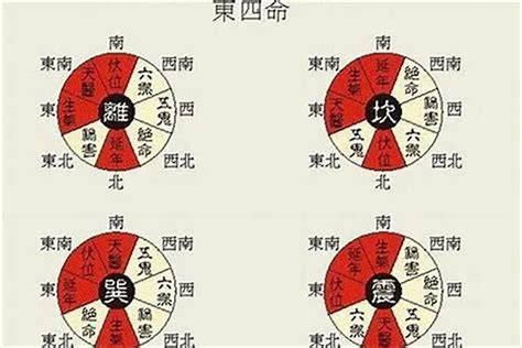 东四命住宅|阳宅风水 “东四命，西四命”计算方法及如何选择楼层（高楼）或独。